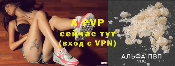 дмт Богданович