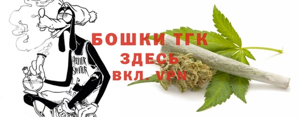 дмт Богданович