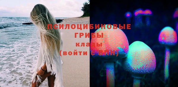 первитин Богородицк