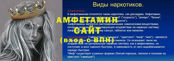 дмт Богданович