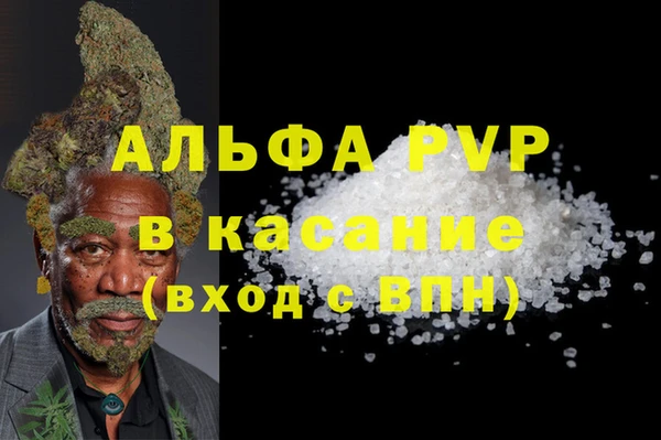 дмт Богданович