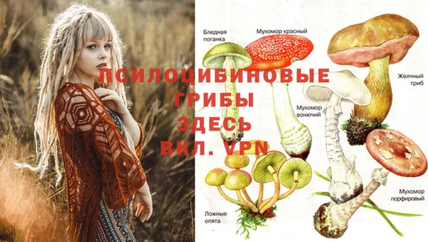 первитин Богородицк