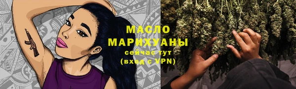 дмт Богданович