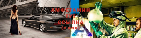 дмт Богданович