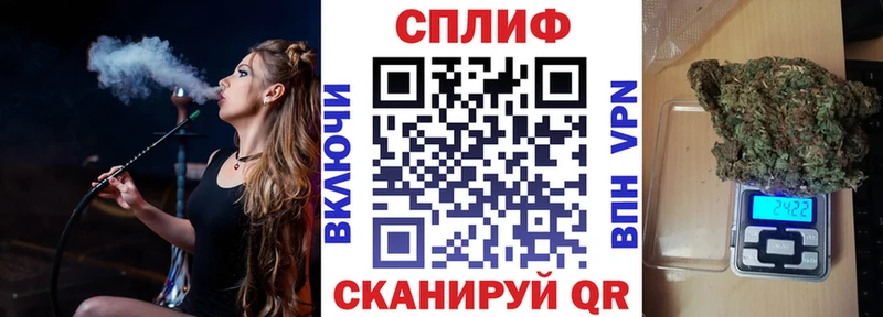 где продают наркотики  omg зеркало  Шишки марихуана сатива  Макаров 